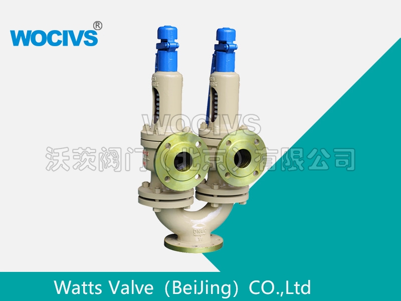 双联弹簧式安全阀