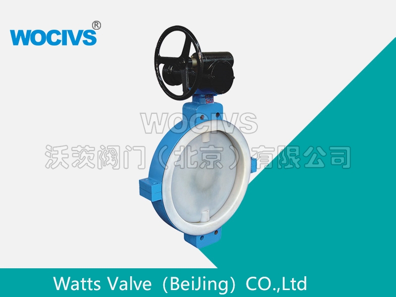 衬氟蜗轮对夹蝶阀