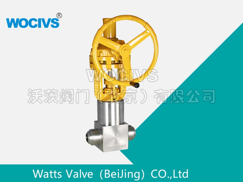 锻钢不锈钢闸阀