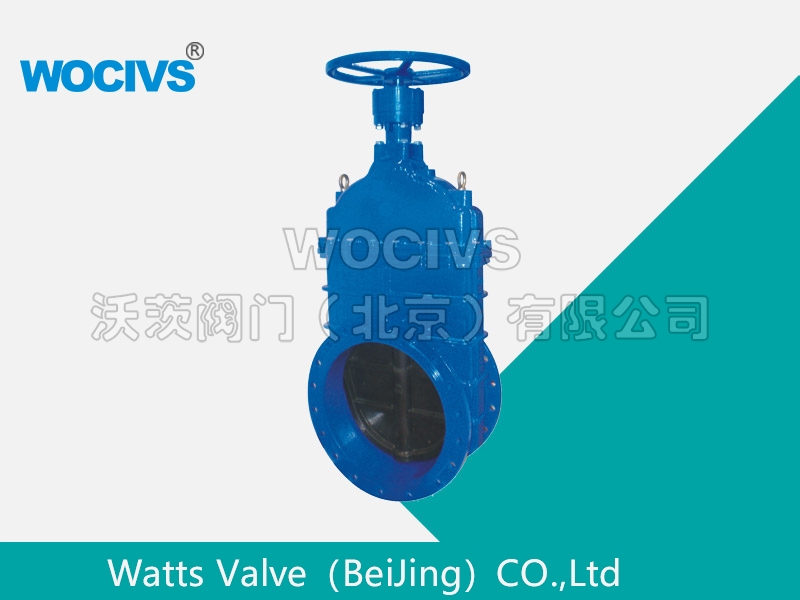 手动软密封闸阀